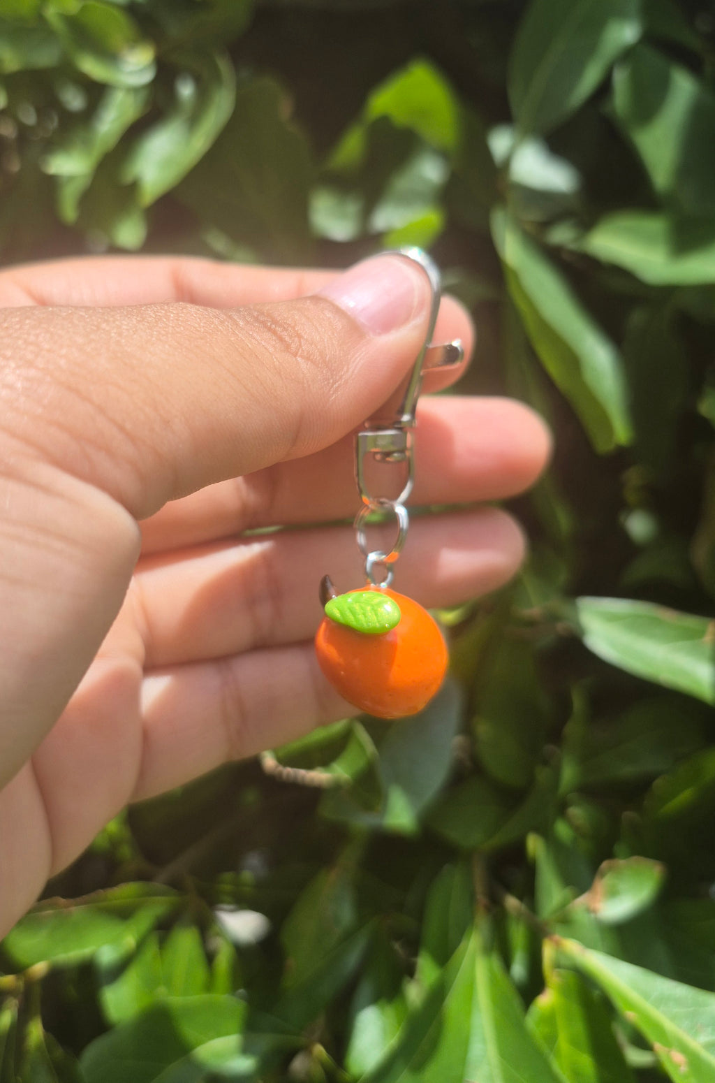 Orange fruit