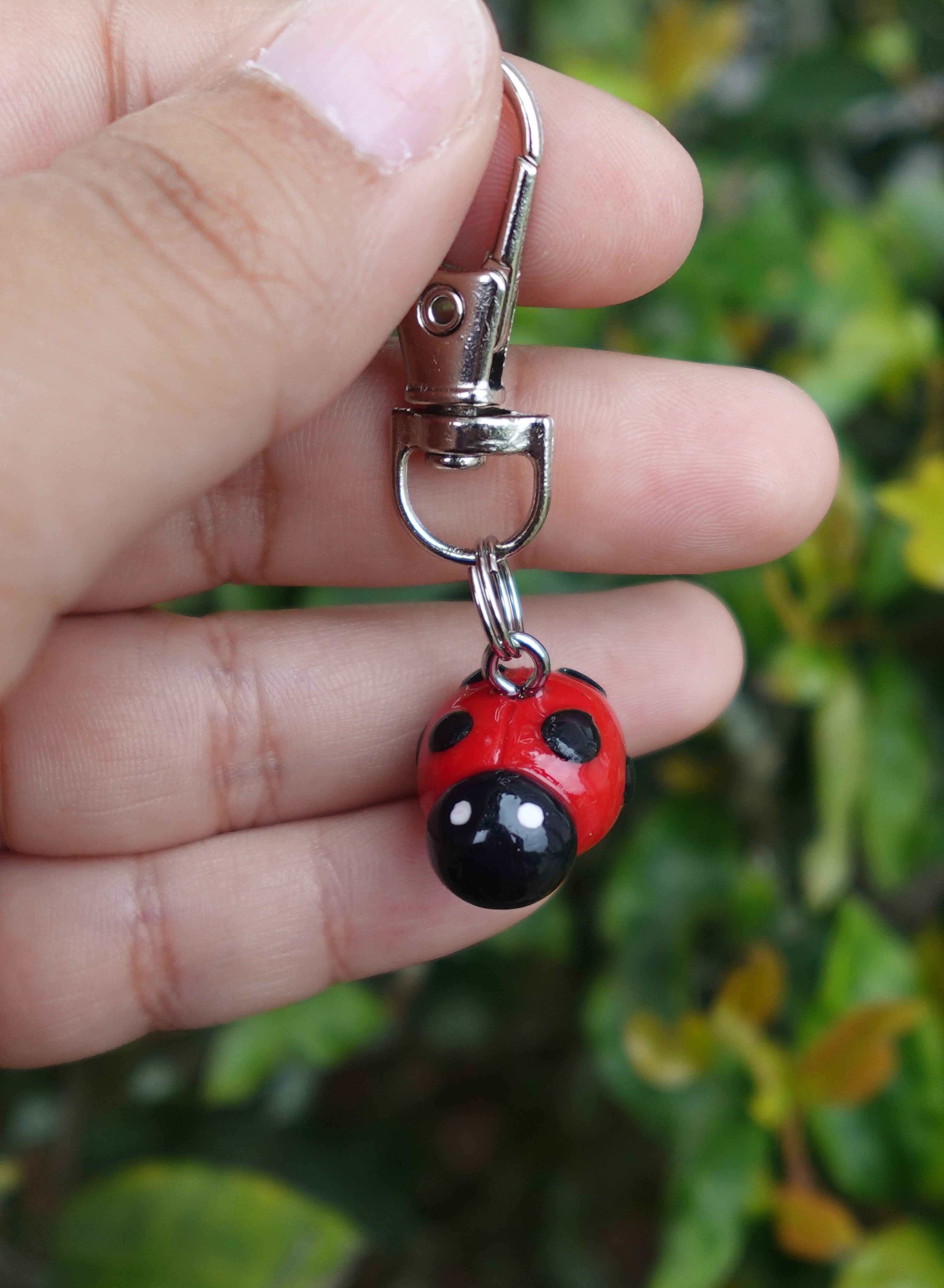 Ladybug